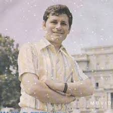 Milijan Rafajlovic - Hajde majko ti povedi kolo